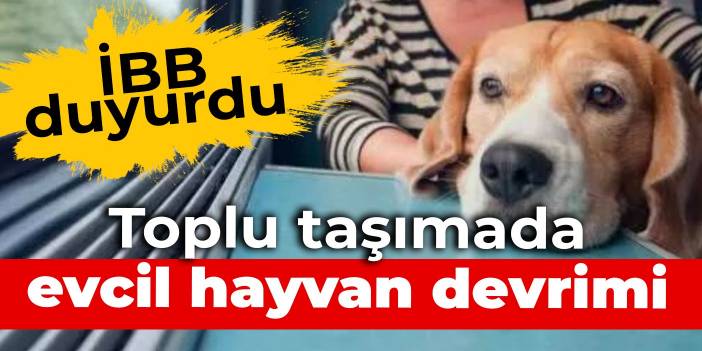 İBB duyurdu: Toplu taşımada evcil hayvan devrimi