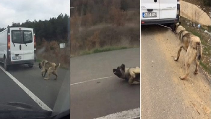 Köpeğini araca iple bağlayıp sürüklemişti...