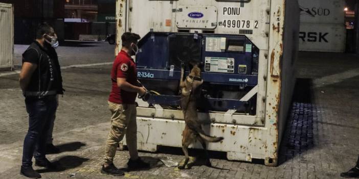 Mersin Limanı'nda onlarca kilo kokain yakalandı