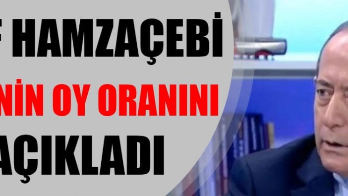 Akif Hamzaçebi CHP'nin oy oranını açıkladı