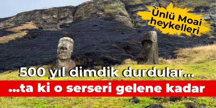 500 yıldır dimdik durdular... Serserinin biri gelene kadar