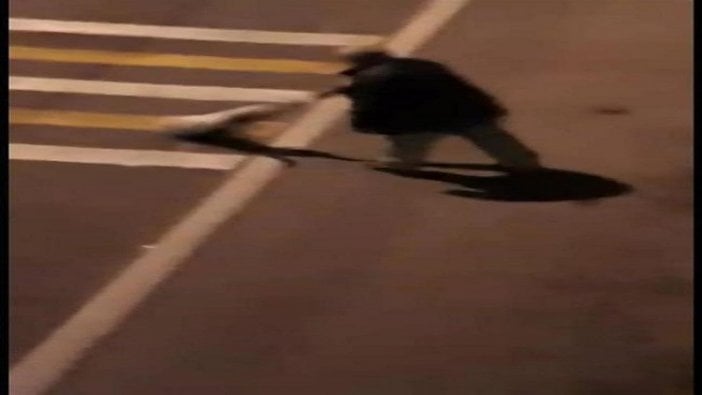 Köpeği araçların önüne atmıştı! Cezaevinde çıkınca başına bakın ne geldi