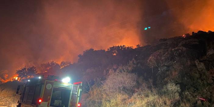 Bodrum'da makilik yangını