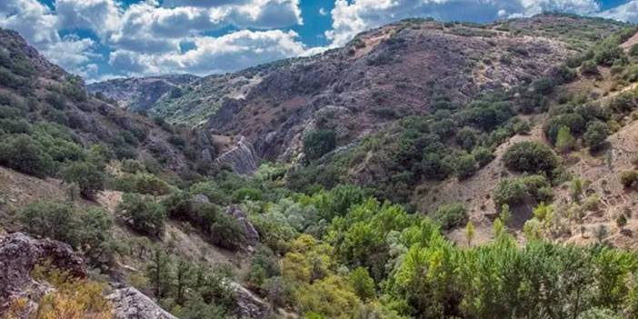 Yargı, Kıbrıs Vadisi talanına izin vermedi