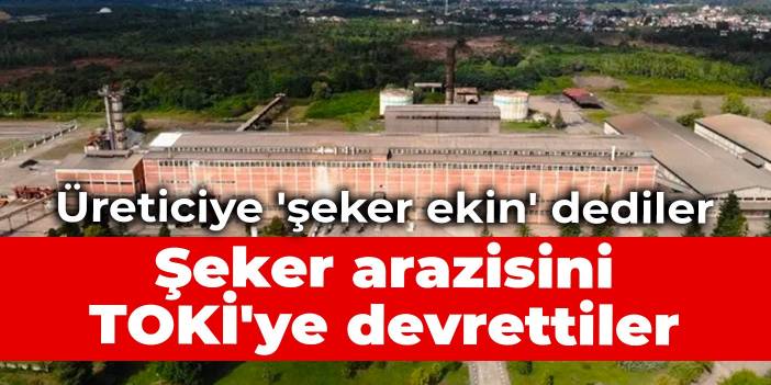 Üreticiye 'şeker ekin' dediler: Şeker arazisini TOKİ'ye devrettiler