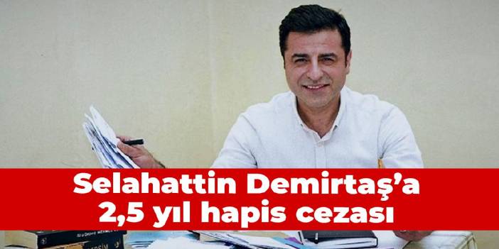 Selahattin Demirtaş'a 2,5 yıl hapis cezası