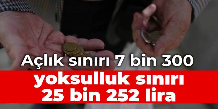 Eylülde açlık sınırı 7 bin 300, yoksulluk sınırı 25 bin 252 lira oldu