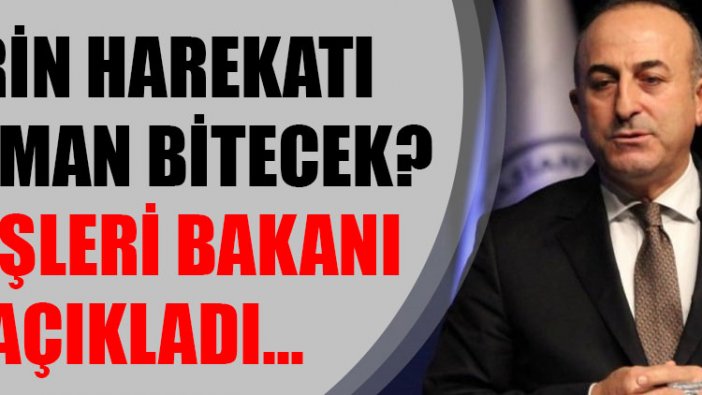 Afrin Harekatı ne zaman bitecek? Dışişleri Bakanı açıkladı