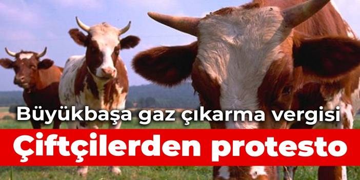 Büyükbaşa gaz çıkarma vergisi: Çiftçilerden protesto