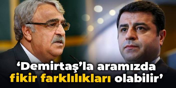 'Demirtaş'la fikir farklılıklarımız olabilir ama aramızdaki temel ayrılık cezaevi duvarları'