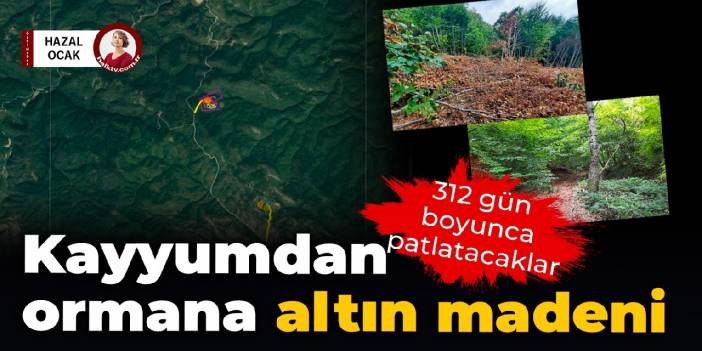 Kayyumdan ormana patlatmalı altın madeni