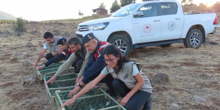 Yüzlerce sakayı Suriye'ye kaçırırken yakalandı