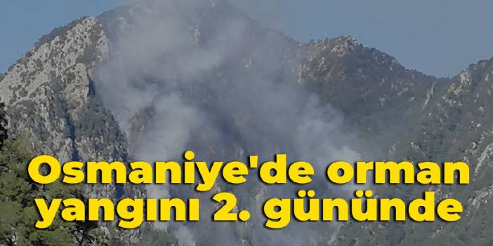 Osmaniye'de orman yangının 2. günü