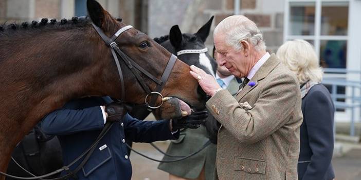 3. Charles, annesinden miras kalan atları satışa çıkardı