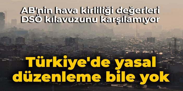 AB'nin hava kirliliği değerleri DSÖ kılavuzunu karşılamıyor: Türkiye'de yasal düzenleme bile yok