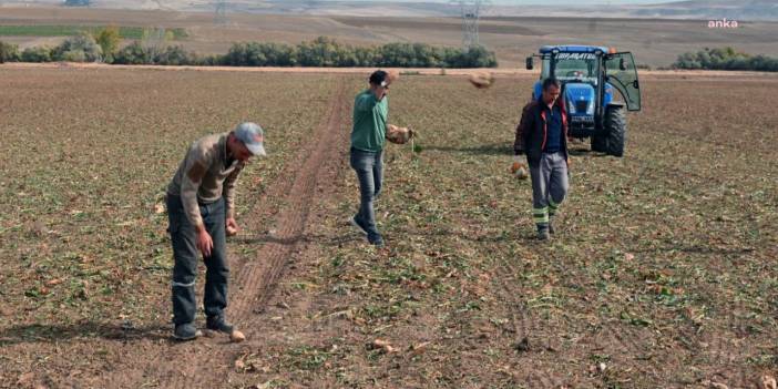 Depremzede çiftçilerin borçları ertelendi