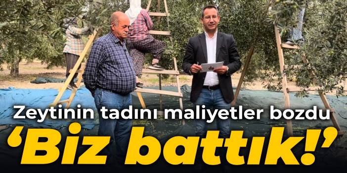 Zeytinin tadını maliyetler bozdu: Biz battık!