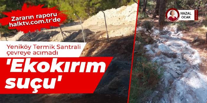 Yeniköy Termik Santrali doğaya acımadı: İşte zararın raporu