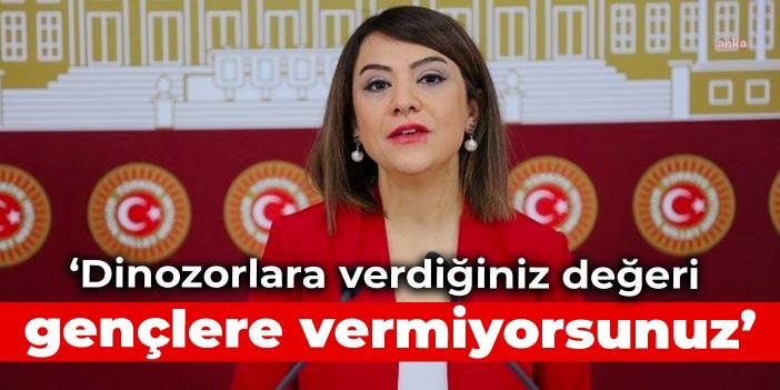 CHP'li Taşcıer'den Bakan Kasapoğlu'na: Dinozorlara verdiğiniz değeri gençlere vermiyorsunuz