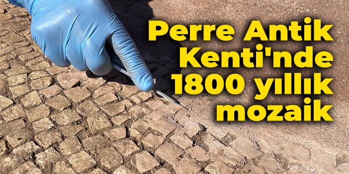 Perre Antik Kenti'nde 1800 yıllık mozaik