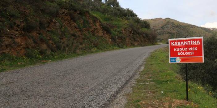 Bitlis’te kuduz alarmı: İki çocuk Ankara’ya sevk edildi