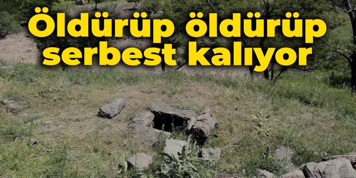 Öldürüp serbest kalıyor: İlkinden af kurtardı, ikincisinden zamanaşımı