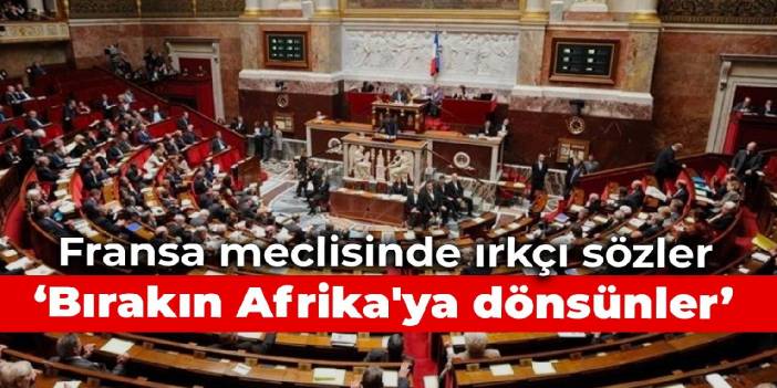 Fransa meclisinde ırkçı sözler: Bırakın Afrika'ya dönsünler