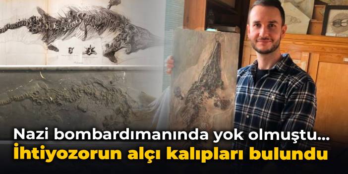 Nazi bombardımanında yok olmuştu... İhtiyozorun alçı kalıpları bulundu