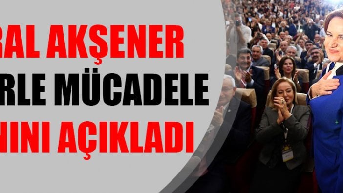 Meral Akşener terörle mücadele planını açıkladı