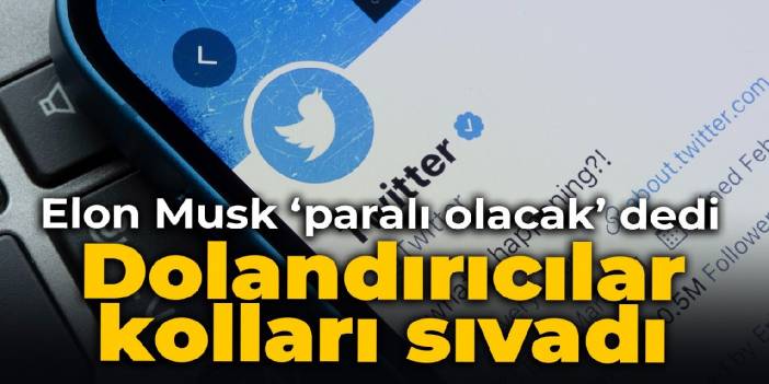 Mavi tik için dolandırıcılar kolları sıvadı