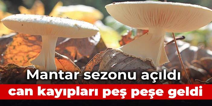 Mantar sezonu açıldı, can kayıpları peş peşe geldi