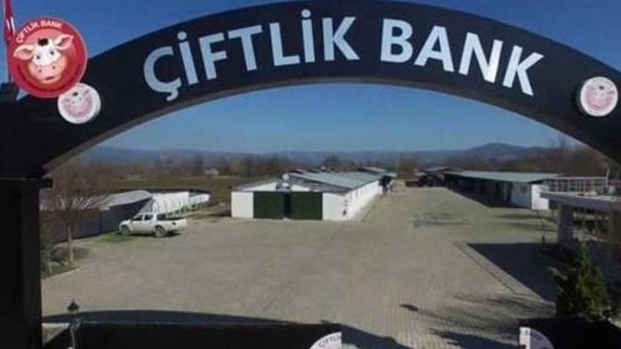 Çiftlikbank Yönetim Kurulu Üyesi gözaltına alındı