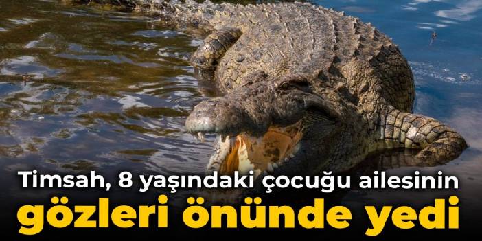 Timsah, 8 yaşındaki çocuğu ailesinin gözleri önünde yedi