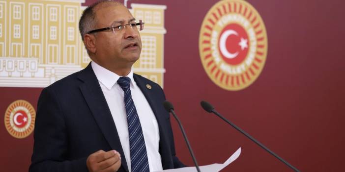 CHP'li Purçu'dan gençlerle ilgili araştırma önergesi