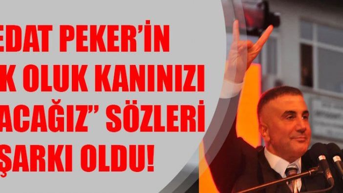 Sedat Peker'in "Oluk oluk kanınızı akıtacağız" sözleri şarkı oldu!