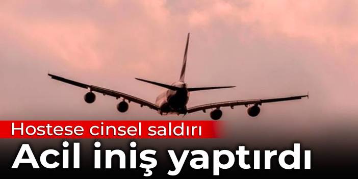 Hostese cinsel saldırı acil iniş yaptırdı