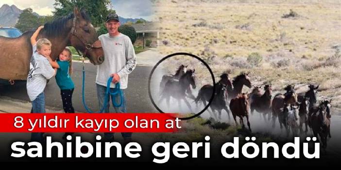 8 yıldır kayıp olan at sahibine geri döndü