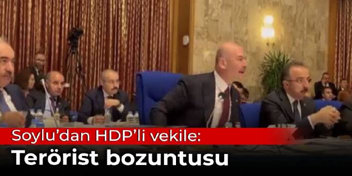 Soylu'dan HDP'li vekile: Terörist bozuntusu