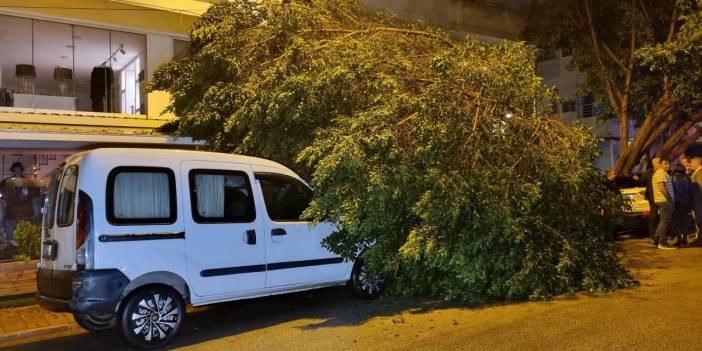 Adana'da yağış ve fırtına: Ağaçlar söküldü