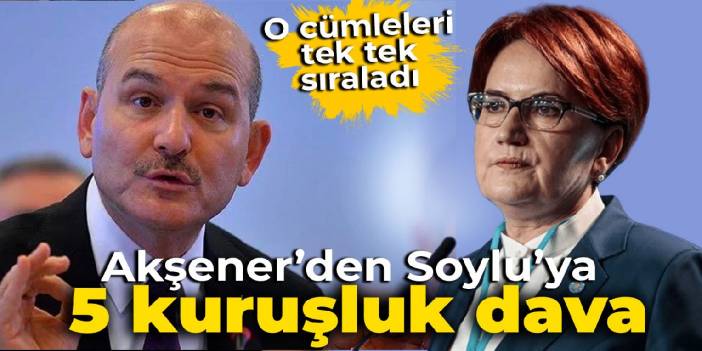 Akşener'den Soylu’ya 5 kuruşluk manevi tazminat davası İşte Soylu'nun o cümleleri