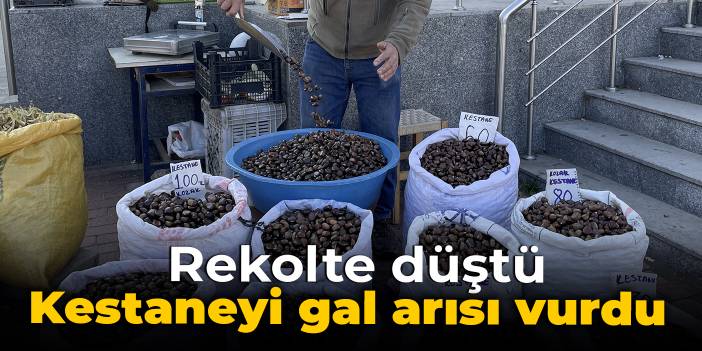 Kestaneyi gal arısı vurdu: Rekolte düştü