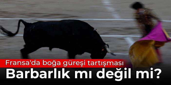 Fransa'da boğa güreşi tartışması: Barbarlık mı değil mi?