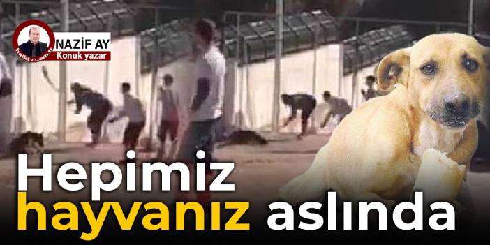 Hepimiz hayvanız aslında