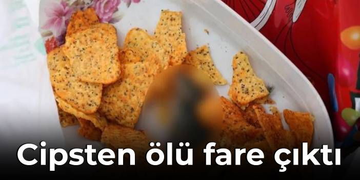 Cipsten ölü fare çıktı