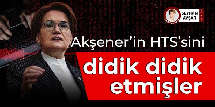 Meral Akşener’in HTS’sini didik didik etmişler