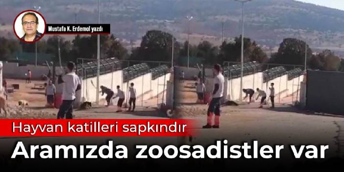 Hayvan katilleri sapkındır: Aramızda zoosadistler var