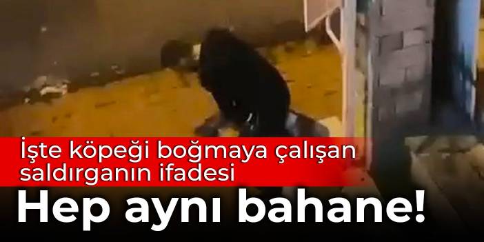 Köpeği boğmaya çalışan saldırganın ifadesi ortaya çıktı: Hep aynı bahane!