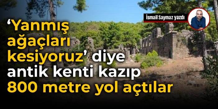 Yanmış ağaçları kesiyoruz diye antik kenti kazıp 800 metre yol açtılar