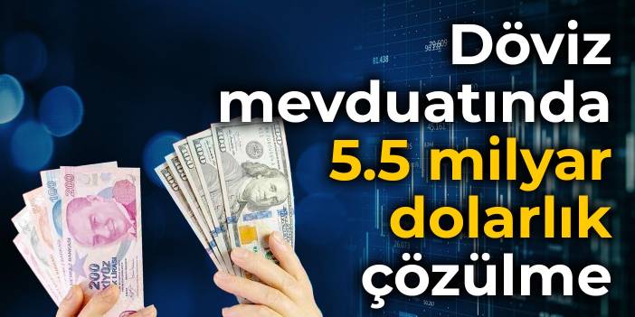 Döviz mevduatında 5.5 milyar dolarlık çözülme