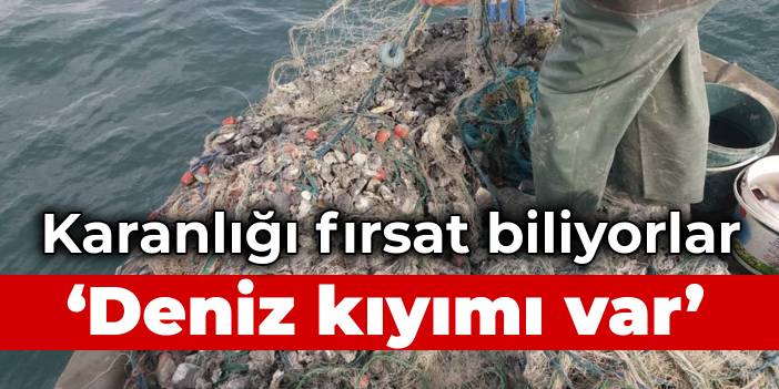 Karanlığı fırsat biliyorlar: Deniz kıyımı var